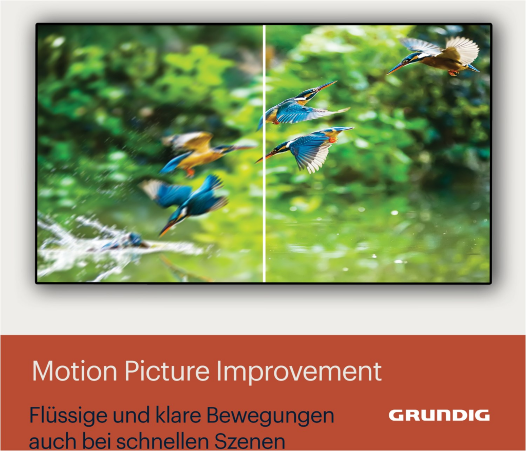 Grundig 65GOB9390 München si OLED-TV FH