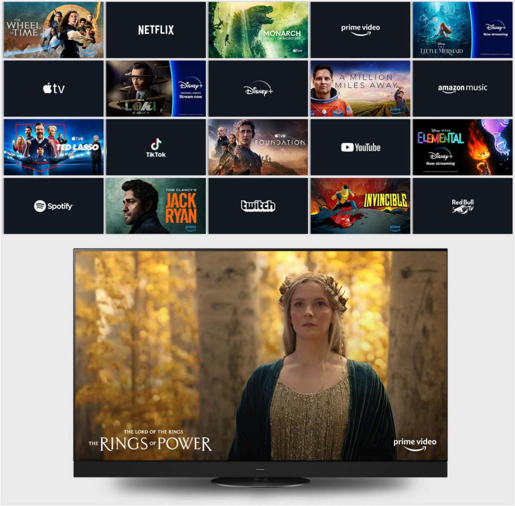Panasonic TV-48Z90BE6 sw Master OLED-TV