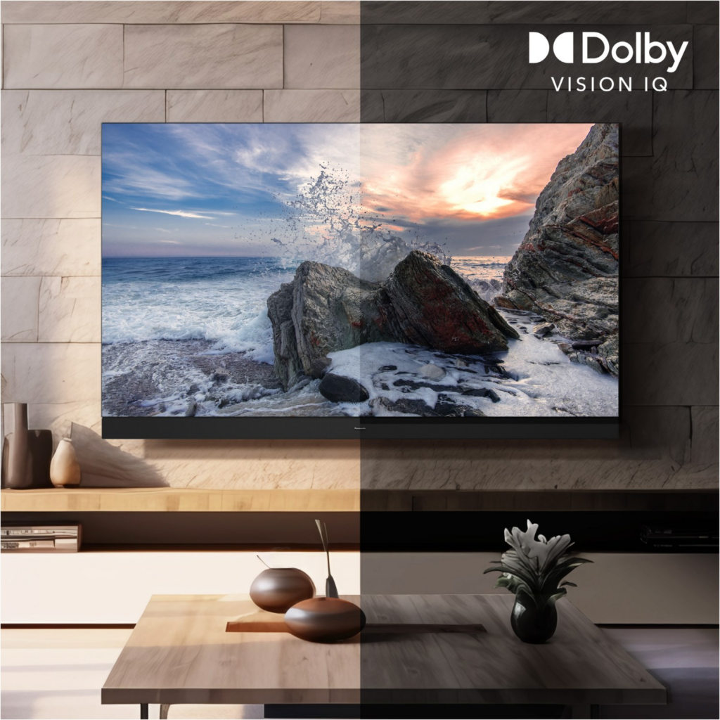Panasonic TV-48Z90BE6 sw Master OLED-TV
