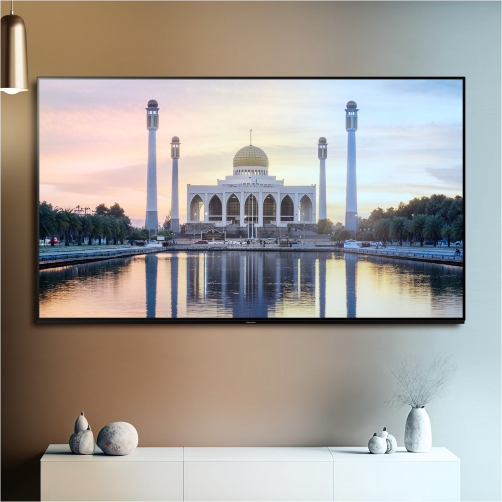 Panasonic TV-42Z90BE6 sw Master OLED-TV